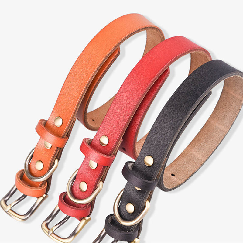 PAWS ASIA Wholesale Leather Fashion Luxury Personalized Anti Bite Spiked Studded Dog Collar Cat