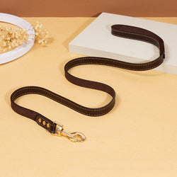 PAWS ASIA Wholesale Custom Pet Luxury Fashion Leather Large Dog Collars And Leash