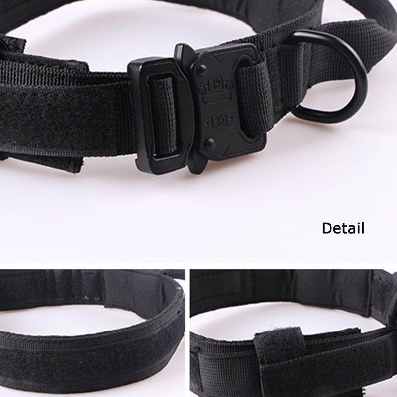 PAWS ASIA Factory Metal Buckle Padded Nylon Outdoor Training Tactical Dog Collar With Handle