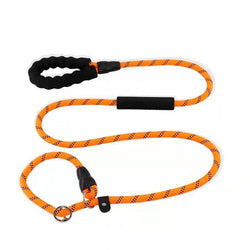 PAWS ASIA Suppliers 2 in 1 Nylon Reflective Training Strong Heavy Duty Dog Collar And Leash