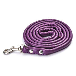 PAWS ASIA AliExpress Best Sell Trendy PU Material Cute Multicolor Tough Long Dog Leash