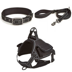 PAWS ASIA Wholesale New Waterproof Reflective Pet Dog Collar And Leash Harness Set With Bag