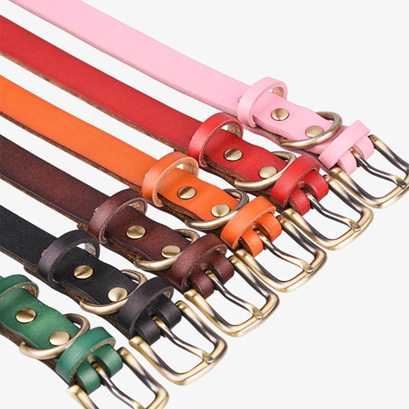 PAWS ASIA Wholesale Leather Fashion Luxury Personalized Anti Bite Spiked Studded Dog Collar Cat