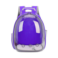 PAWS ASIA Wholesale Fashion Hiking  Portable Transparent Clear Pet Carrier Cat Backpack Dog