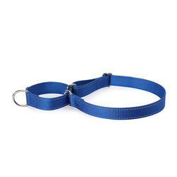 PAWS ASIA Suppliers New Design Custom Reflective Nylon Competitive Price Training Big Dog Collar