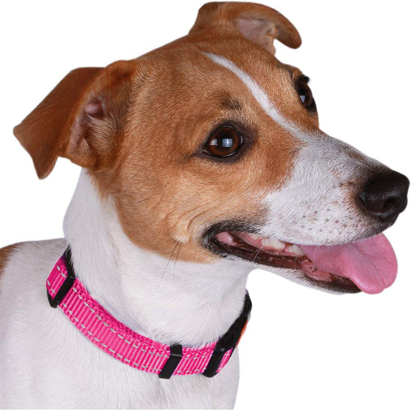 PAWS ASIA Manufacturers Sustainable Durable Plain Nylon Reflective Strong Dog Collar With Buckle