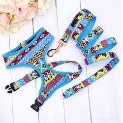 PAWS ASIA Factory High Quality Cute Colored Fancy Vest Puppy Dog Harness And Leash Set