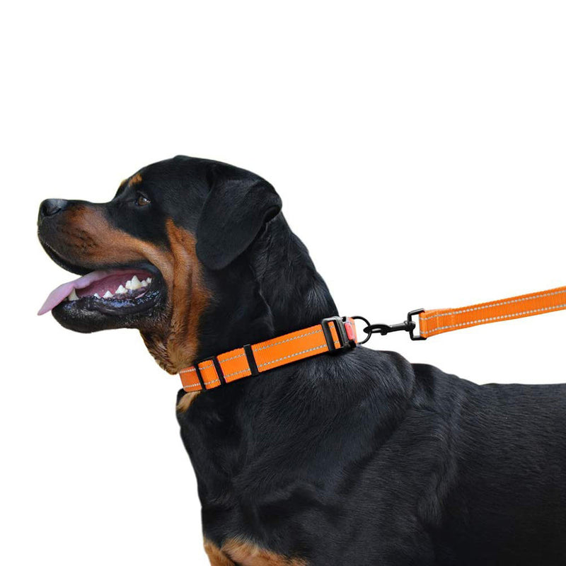 PAWS ASIA Manufacturers Sustainable Durable Plain Nylon Reflective Strong Dog Collar With Buckle