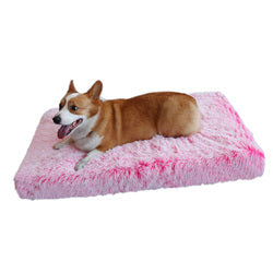 PAWS ASIA Wholesale Modern Memory Foam Removable Zipper Rectangle Cat And Dog Beds