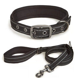 PAWS ASIA Wholesale New Waterproof Reflective Pet Dog Collar And Leash Harness Set With Bag