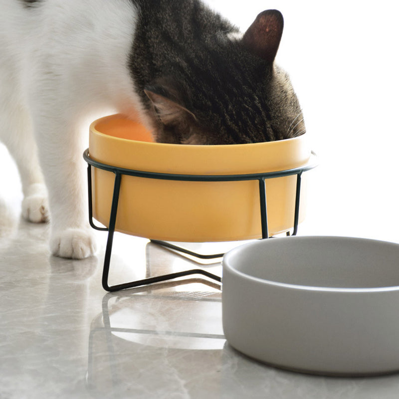 PAWS ASIA Manufacturers Ceramic Protect Cervical Double Elevated Cat Bowl Sets Dog Feeding