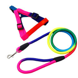 PAWS ASIA Suppliers Custom High Quality Nylon Adjustable Colorful Dog Leash And Harness