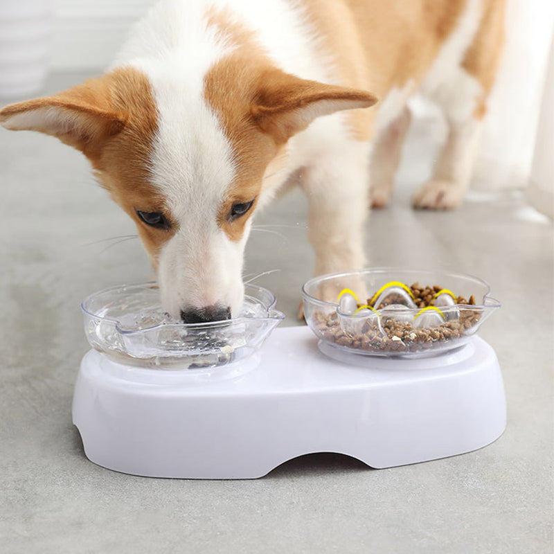 PAWS ASIA Manufacturers Plastic Luxury Elevated Slow Feeder Transparent Double Cat Bowl Dog