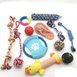 PAWS ASIA Manufacturers Chewing Interactive Eco Friendly Teeth Cleaning Assorted Dog Toy Set Rope