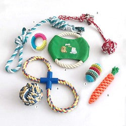 PAWS ASIA Manufacturers Direct Sale Eco Friendly Chewing Teeth Cleaning Interactive Assorted Dog Toy Set Rope