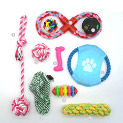 PAWS ASIA Manufacturers Chewing Interactive Eco Friendly Teeth Cleaning Assorted Dog Toy Set Rope