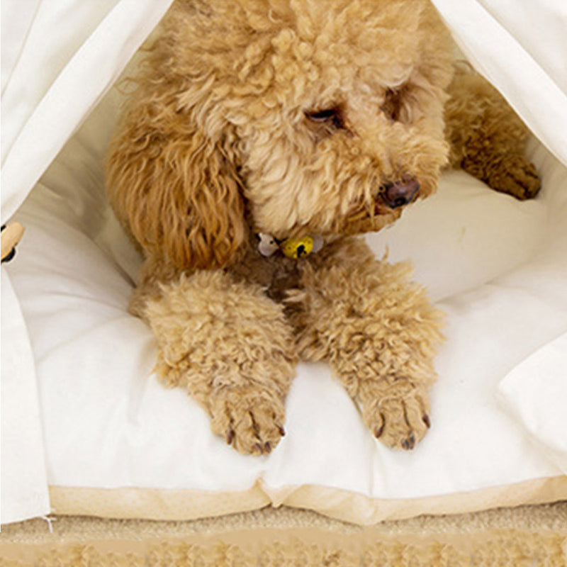 PAWS ASIA Suppliers Dropshipping Pretty Foldable Washable Indoor Comfortable Pet Teepee Dog Tent