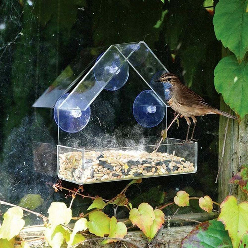 PAWS ASIA Manufacturers Acrylic Outdoor Suction Cups Window Wild Bird Feeder Food House Aviary