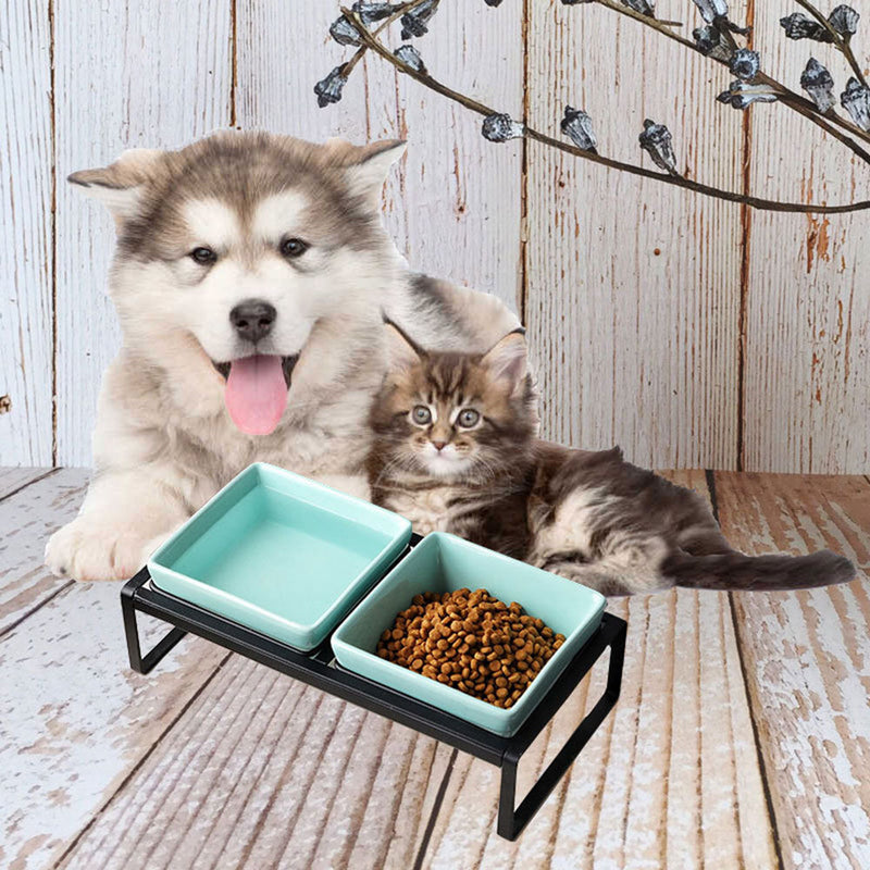 PAWS ASIA Manufacturers Direct Sale Iron Elevated Ceramic Protect Cervical Feeding Dog Bowl Cat