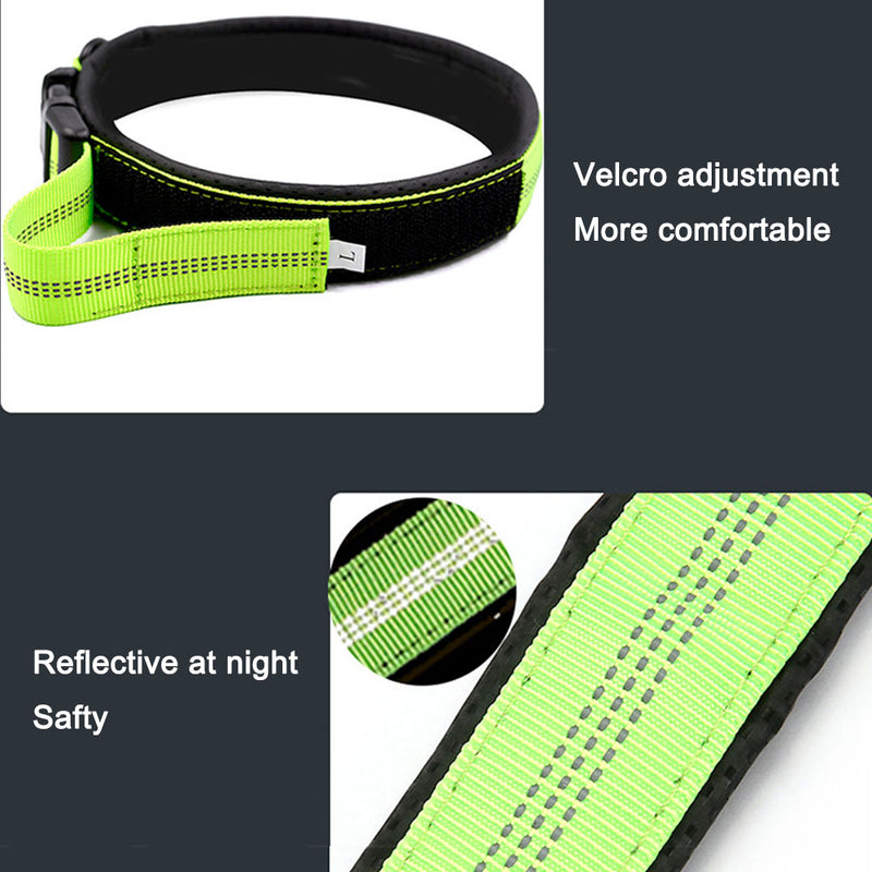 PAWS ASIA Suppliers Nylon Luxury Personalized Modern Novel Design Reflective Large Pets Dog Collar