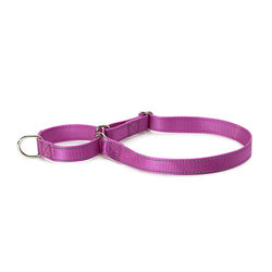 PAWS ASIA Suppliers New Design Custom Reflective Nylon Competitive Price Training Big Dog Collar