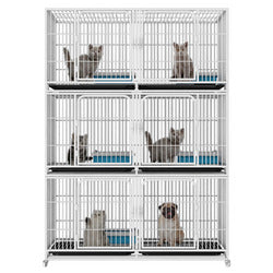 PAWS ASIA China Manufacturers Galvanized Steel Pipe Enclosures Large Commercial Pet Breeding Cat Cage 3 Layer