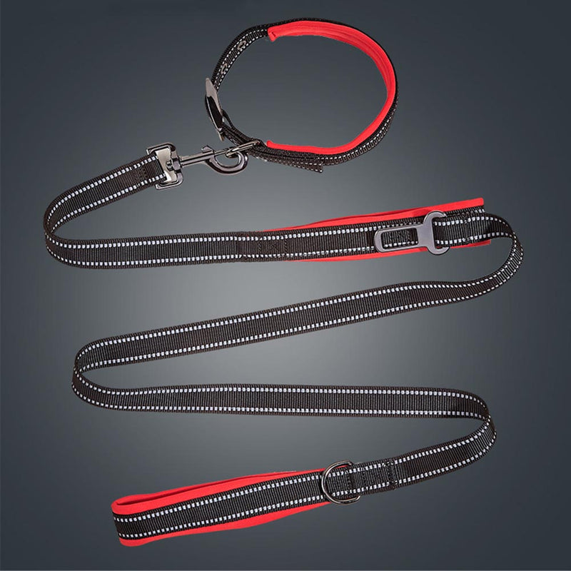 PAWS ASIA Wholesale New Waterproof Reflective Pet Dog Collar And Leash Harness Set With Bag