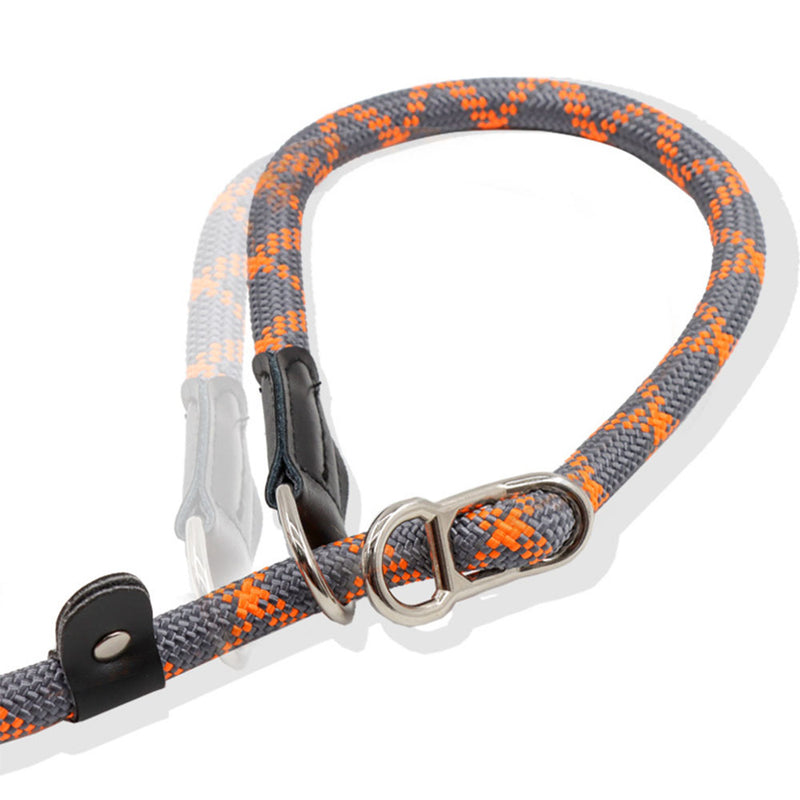 PAWS ASIA Suppliers 2 in 1 Nylon Reflective Training Strong Heavy Duty Dog Collar And Leash