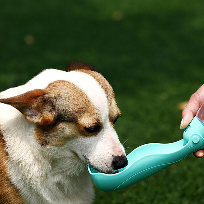 PAWS ASIA Wholesale Plastic Travel Portable Multi Use Foldable Leak Proof Dog Water Bottle Pet Preform Minerals