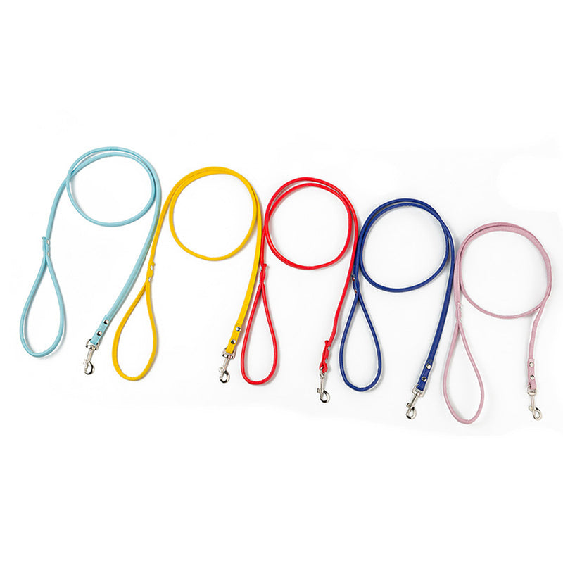 PAWS ASIA Wholesale OEM PU Material Trendy Color Cute Tough Long Dog Leash