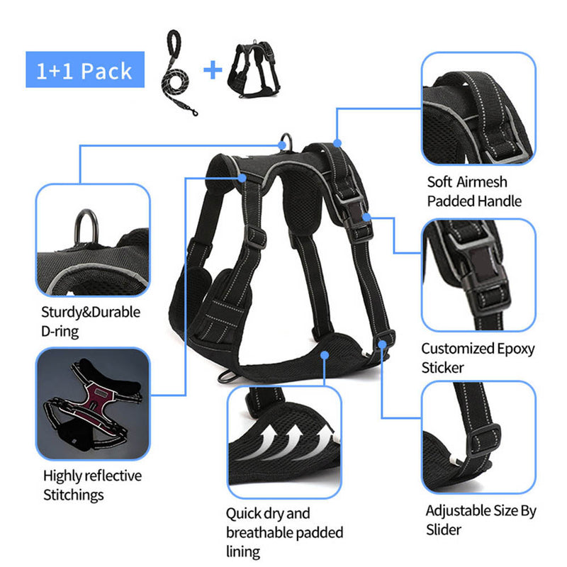 PAWS ASIA Wholesale Luxury Reflective Dog Leash Vest Harness Set With Easy Control Handle