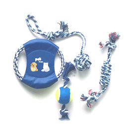 PAWS ASIA Manufacturers Direct Sale Eco Friendly Chewing Teeth Cleaning Interactive Assorted Dog Toy Set Rope