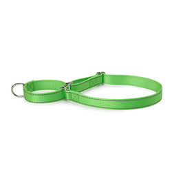 PAWS ASIA Suppliers New Design Custom Reflective Nylon Competitive Price Training Big Dog Collar