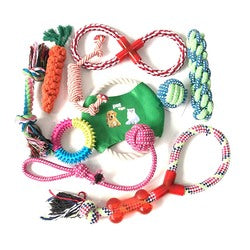 PAWS ASIA Manufacturers Chewing Interactive Eco Friendly Teeth Cleaning Assorted Dog Toy Set Rope