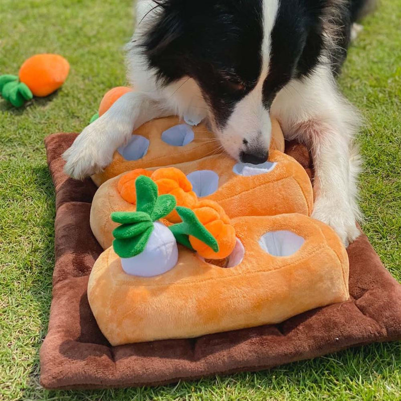 PAWS ASIA Suppliers Halloween Plush Interactive Chew Carrot Puzzle Dog Toy Set