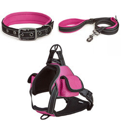 PAWS ASIA Wholesale New Waterproof Reflective Pet Dog Collar And Leash Harness Set With Bag