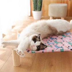 PAWS ASIA Factory Dropshipping Cheap Summer Cool Elevated Removable Bed For Dogs Cat