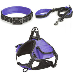 PAWS ASIA Wholesale New Waterproof Reflective Pet Dog Collar And Leash Harness Set With Bag