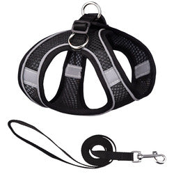 PAWS ASIA Supplier Breathable Mesh Reflective Luxury Adjustable Cute Dog Harness And Leash Set