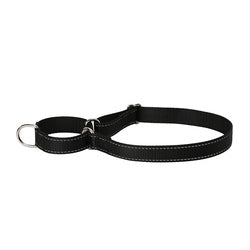 PAWS ASIA Suppliers New Design Custom Reflective Nylon Competitive Price Training Big Dog Collar