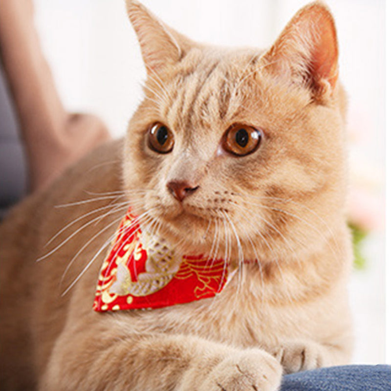 PAWS ASIA Supplier Cheap Stylish Fancy Colorful Mixed Patterns Cute Cat Bandana Collar