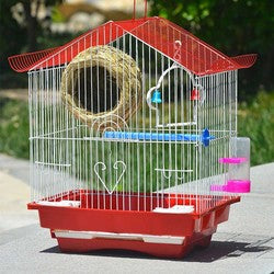 PAWS ASIA Lazada Popular Steels Small Outdoor Travel Fancy Canary Bird Cage Carriers WIth Accessories For Sale