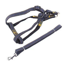 PAWS ASIA China Suppliers Custom Strong Jean Adjustable Long Dog Harness Set Pet Show Leash