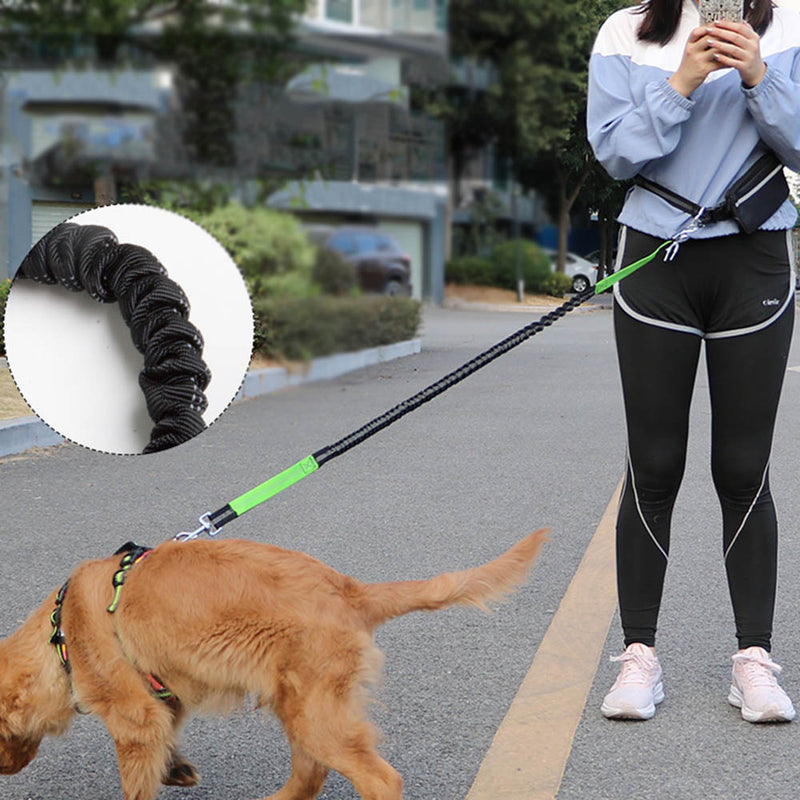 PAWS ASIA Manufacturers Reflective Nylon Adjustable Running Hands Free Dog Leash