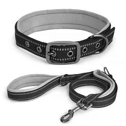 PAWS ASIA Wholesale New Waterproof Reflective Pet Dog Collar And Leash Harness Set With Bag