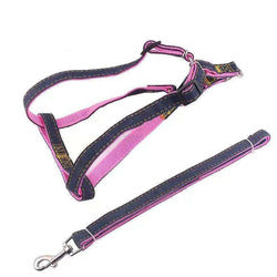 PAWS ASIA China Suppliers Custom Strong Jean Adjustable Long Dog Harness Set Pet Show Leash