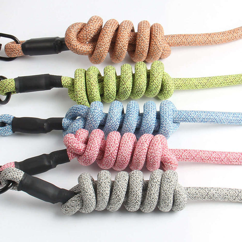 PAWS ASIA Ebay New Style Adjustable Cute Dog Cat Pet Harness Leash Set With Comfortable Handle On Sale