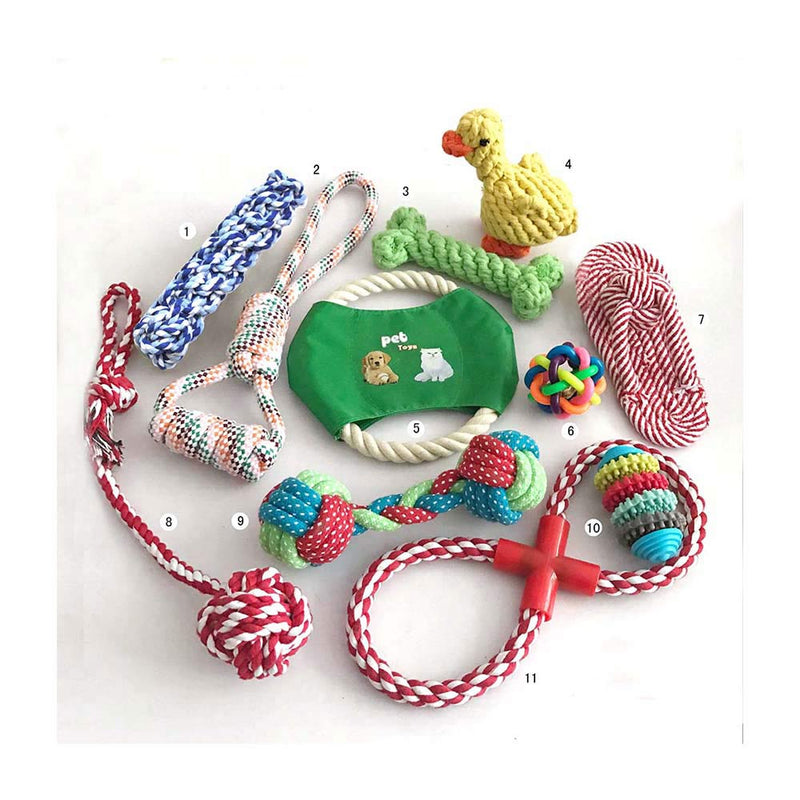 PAWS ASIA Manufacturers Direct Sale Eco Friendly Chewing Teeth Cleaning Interactive Assorted Dog Toy Set Rope