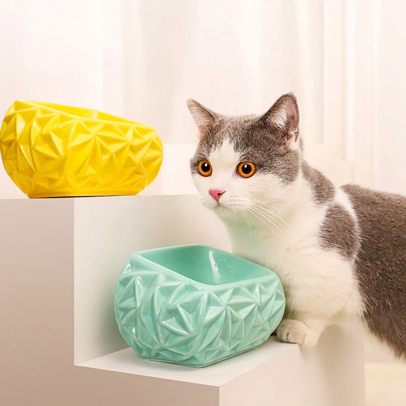 PAWS ASIA Suppliers Modern Creative 15 Degree Tilted Multi Color Ceramic Luxury Portable Cat Bowl For Dogs