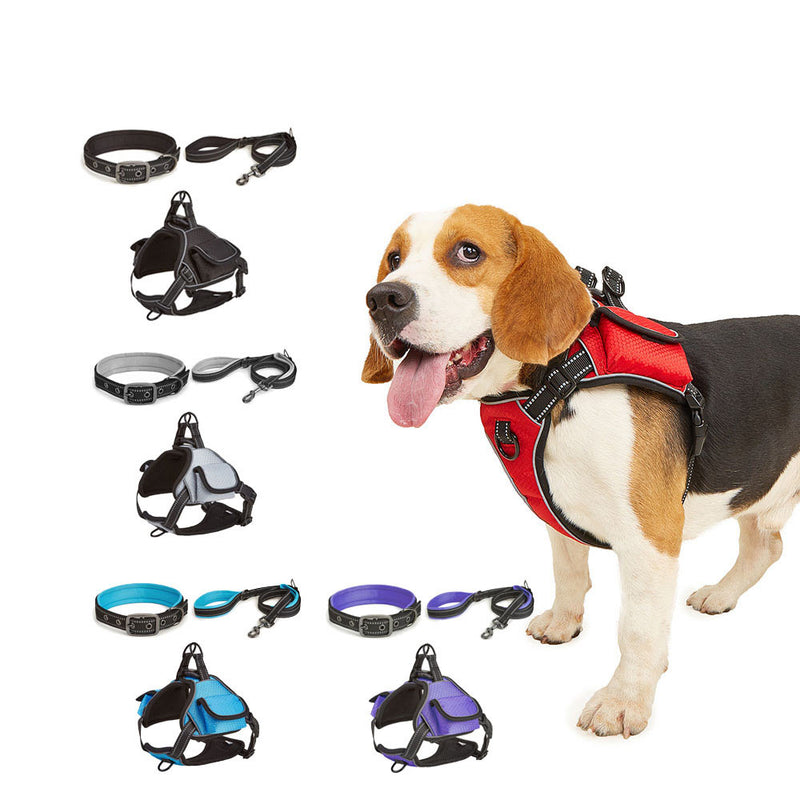 PAWS ASIA Wholesale New Waterproof Reflective Pet Dog Collar And Leash Harness Set With Bag